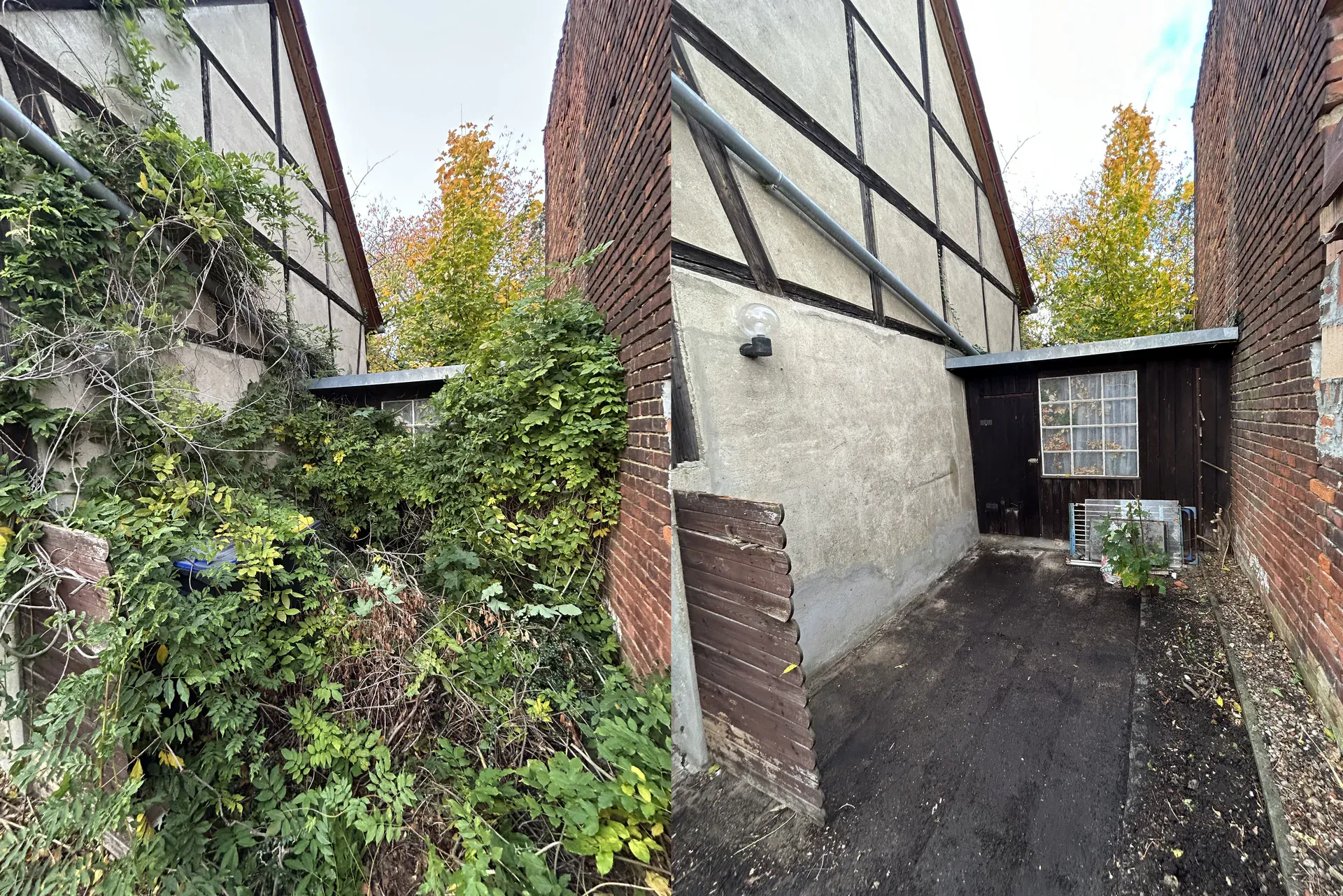 Projekt 'Grünpflege Coswig' vorher-nachher