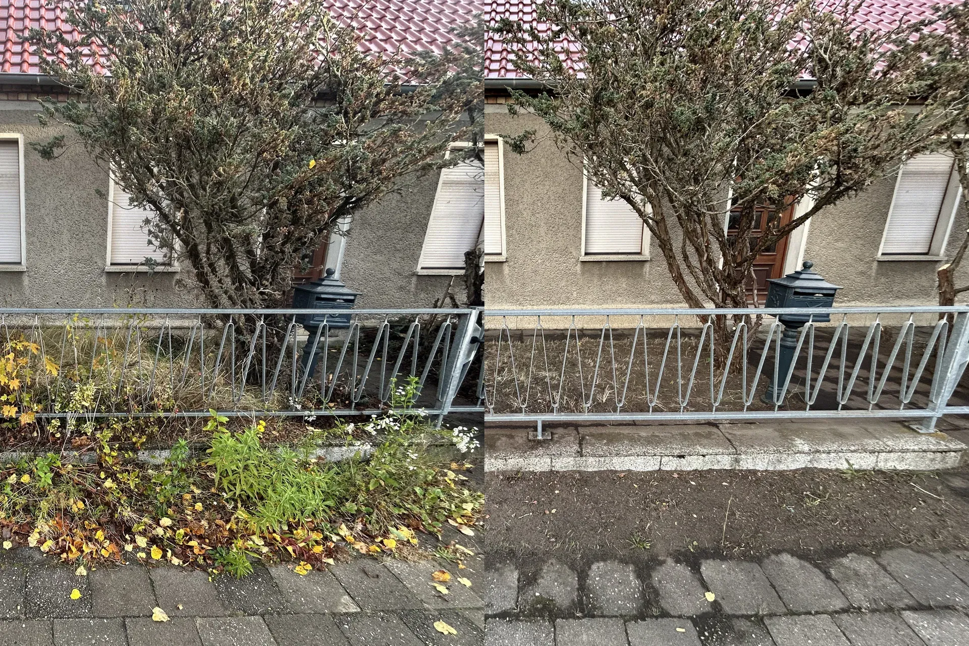 Projekt 'Grünpflege Coswig' vorher-nachher