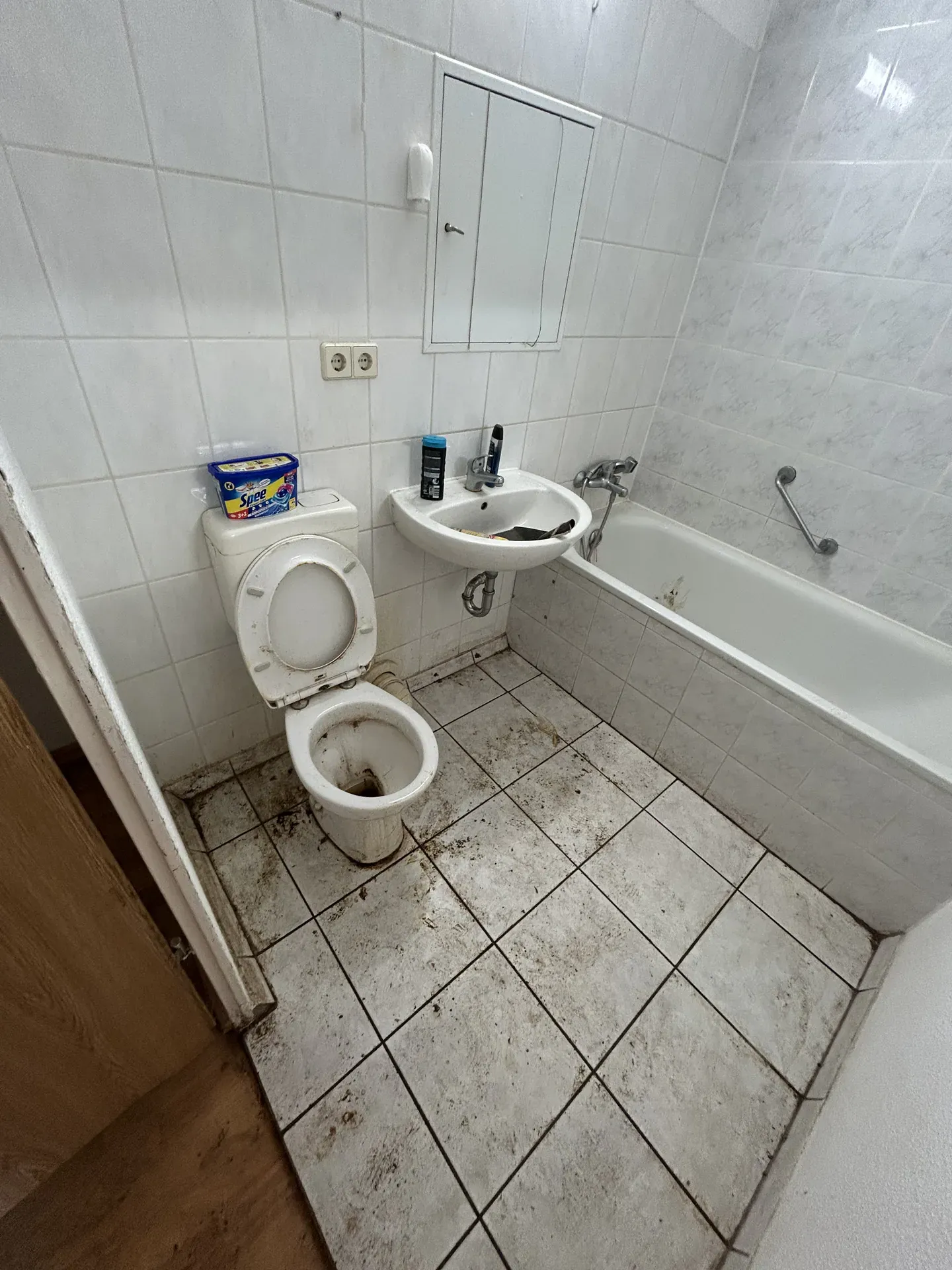 Projekt Messiwohnung vorher